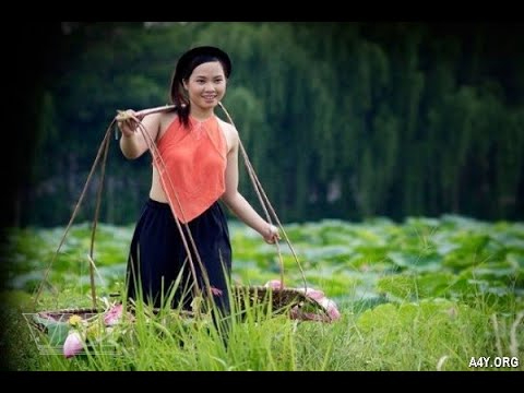 Khám phá hệ sinh thái dịch vụ video ngắn của Hotspot Matrix_Khóa học edit video cho người mới bắt đầu