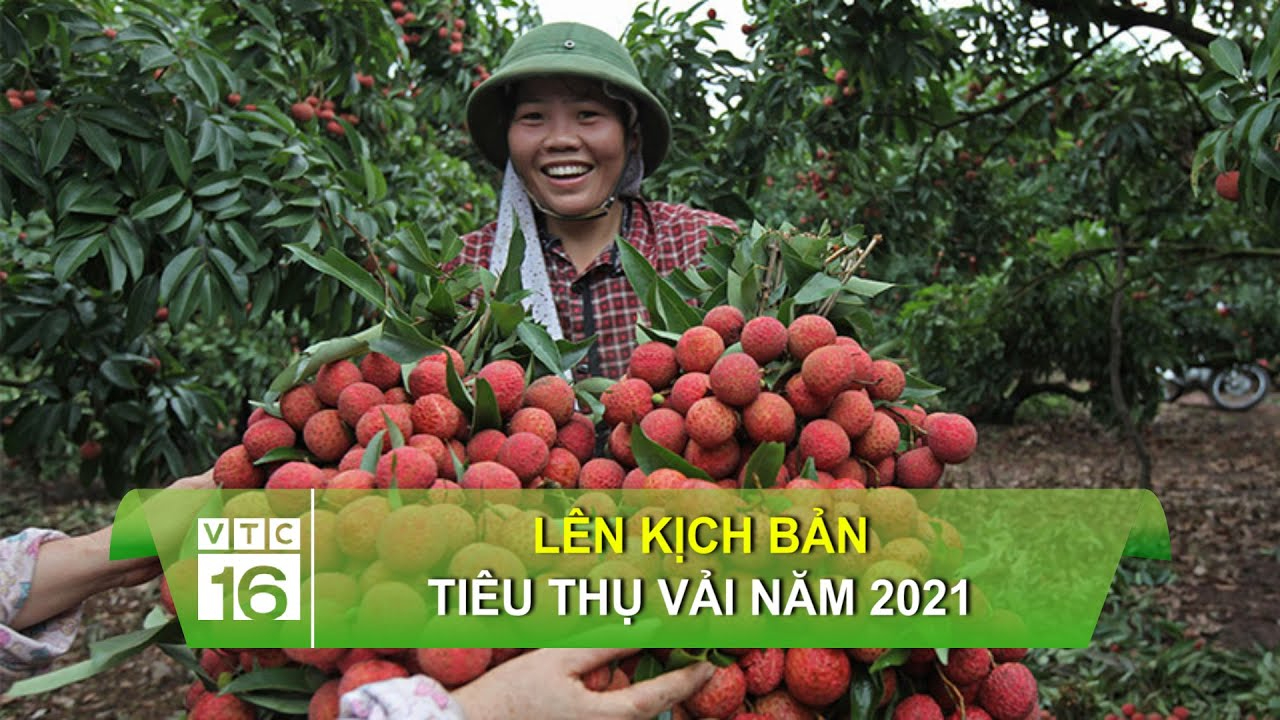 Sự Bùng Nổ Của Video Ngắn và Trí Tuệ Nhân Tạo: Vai Trò Thiết Yếu Của Đào Tạo Kỹ Năng Sáng Tạo Nội Dung_video hậu trường hấp dẫn