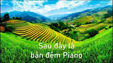 Sự Bùng Nổ Của Video Ngắn và Trí Tuệ Nhân Tạo: Vai Trò Thiết Yếu Của Đào Tạo Kỹ Năng Sáng Tạo Nội Dung_cách biên tập video TikTok