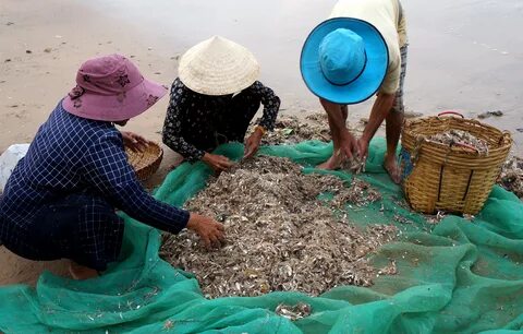 Video ngắn – Giải pháp truyền thông thông minh cho doanh nghiệp nhỏ_video ngắn trên TikTok