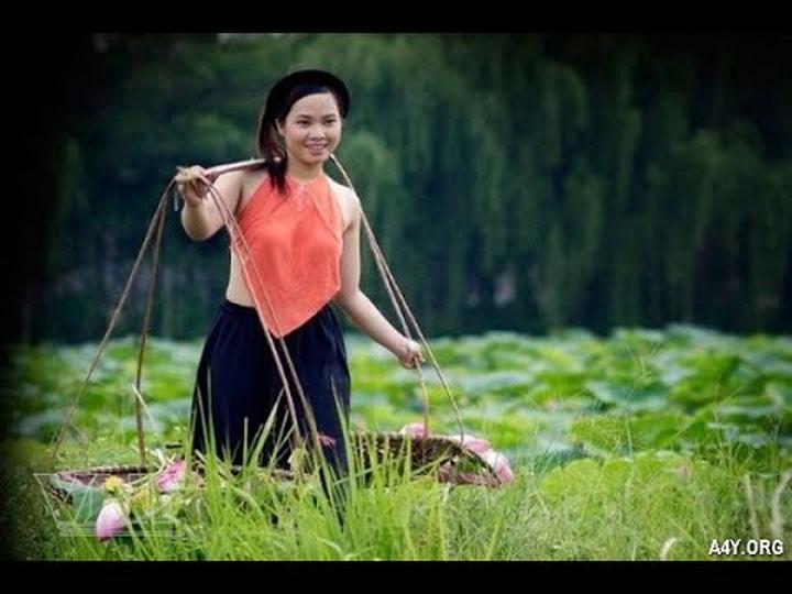 Xu hướng Victoria Beckham lên chức: Hotspot Matrix tiết lộ bí quyết video viral