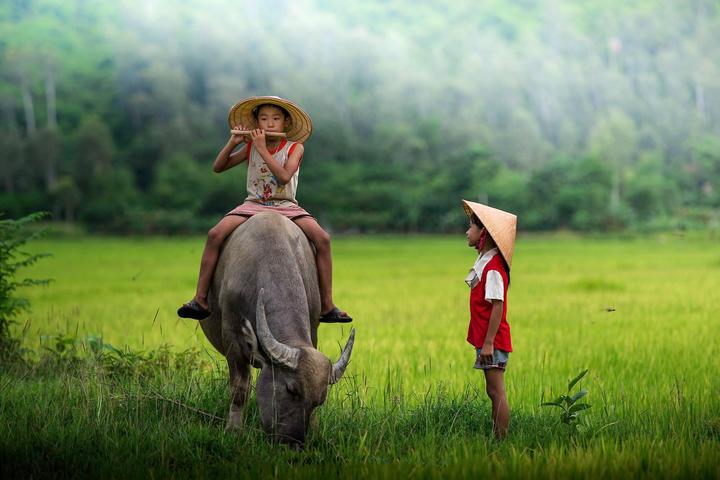 Sự Bùng Nổ Của Video Ngắn và Trí Tuệ Nhân Tạo: Vai Trò Thiết Yếu Của Đào Tạo Kỹ Năng Sáng Tạo Nội Dung