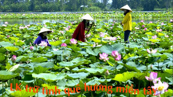 Làm Video Ngắn – Vừa Sáng Tạo, Vừa Kiếm Tiền Với Công Cụ Hữu Ích_Dịch vụ edit video