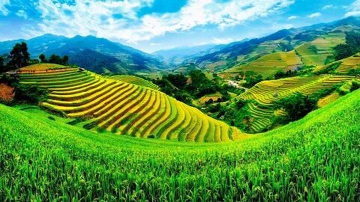 Hotspot Matrix: Giảm Thiểu Rủi Ro Đầu Tư Ngành Video Ngắn
